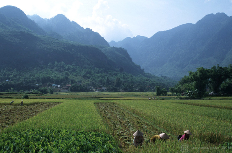 Riding Through Vietnam How a Motorcycle Trip Inspired My Passion for Agricultural Investments